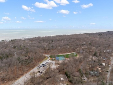 LAKE MICHIGAN ACCESS!  Buildable Lot - photo 8