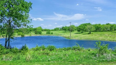 (private lake, pond, creek) Acreage For Sale in Gunter Texas