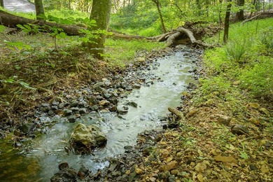 Discover this rare 6.2 acre property featuring 570' feet of - photo 13