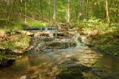Discover this rare 6.2 acre property featuring 570' feet of - photo 14