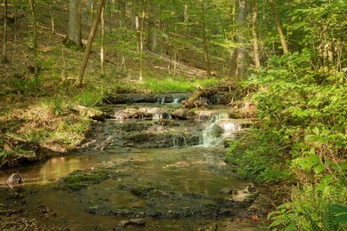 Discover this rare 6.2 acre property featuring 570' feet of - photo 15