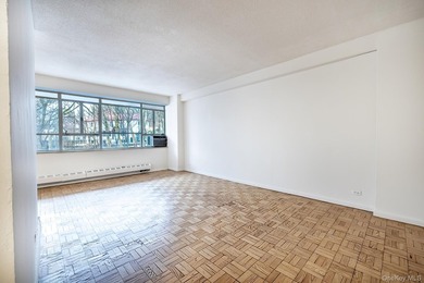 Wall of Windows in This Special One-Bedroom Beauty Bright and - photo 4