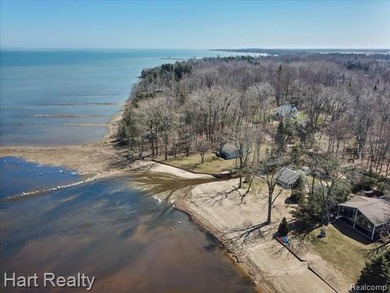 Welcome to this exceptional newer home, ideally situated on a - photo 49