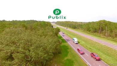 6.87 Acres Prime Land for Townhomes and Commercial Out Parcels - photo 4