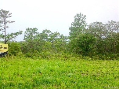 6.87 Acres Prime Land for Townhomes and Commercial Out Parcels - photo 5