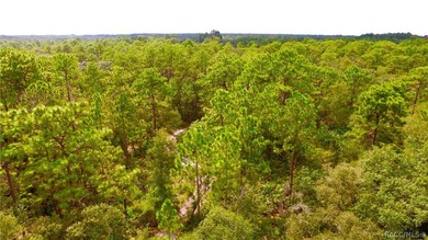 6.87 Acres Prime Land for Townhomes and Commercial Out Parcels - photo 6
