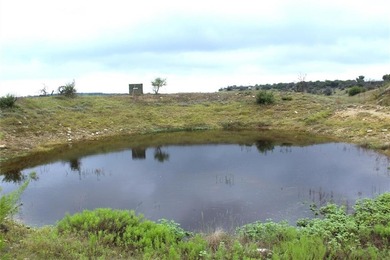 (private lake, pond, creek) Acreage For Sale in May Texas