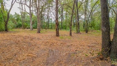 Beautiful lot located just off the golf course in the highly - photo 4