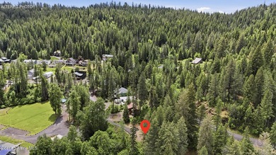 Experience the best of North Idaho lake living with these - photo 5
