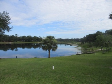 ONCE IN A LIFETIME! Quickly come see this TRUE LAKEFRONT - photo 21