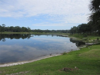 ONCE IN A LIFETIME! Quickly come see this TRUE LAKEFRONT - photo 23