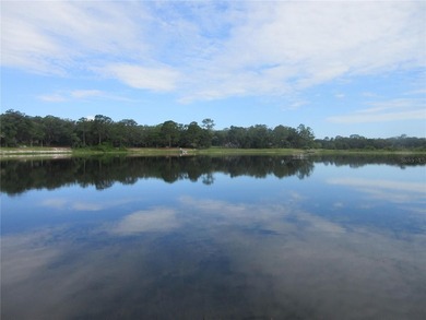ONCE IN A LIFETIME! Quickly come see this TRUE LAKEFRONT - photo 29