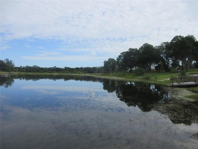 ONCE IN A LIFETIME! Quickly come see this TRUE LAKEFRONT - photo 30