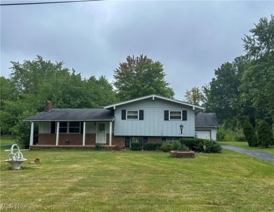 Mosquito Lake Home For Sale in Cortland Ohio