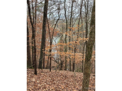 Lake Tuscaloosa Lot For Sale in Tuscaloosa Alabama