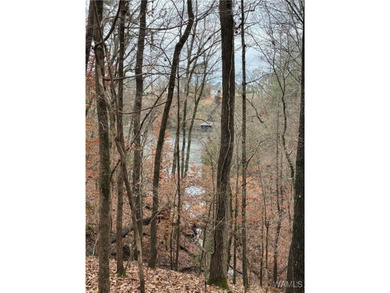 Great opportunity to build your dream home in Crown Pointe! One - photo 2