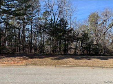 Great opportunity to build your dream home in Crown Pointe! One - photo 3