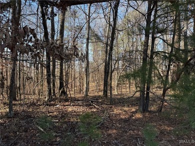 Great opportunity to build your dream home in Crown Pointe! One - photo 5