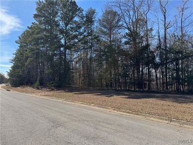 Great opportunity to build your dream home in Crown Pointe! One - photo 6