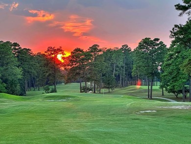 Welcome to your dream home on the golf course at Lake Sam - photo 26