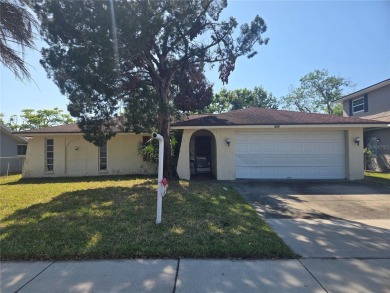 Lake Home For Sale in Oldsmar, Florida