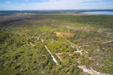 Lake Rosalie Acreage For Sale in Lake Wales Florida