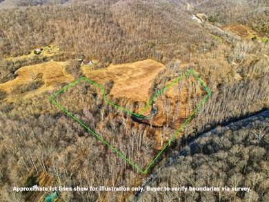 Ohio River Acreage For Sale in Aberdeen Ohio