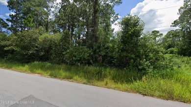 Build your dream home on this beautiful vacant lot located at - photo 1