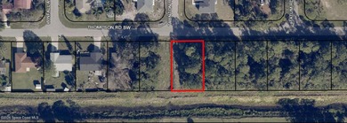 Build your dream home on this beautiful vacant lot located at - photo 3
