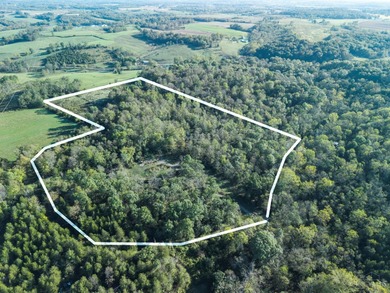 (private lake, pond, creek) Acreage For Sale in Liberty Township Ohio