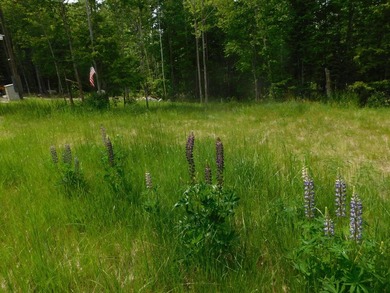 WOW! Mint condition home in the woods. Less than half a mile or - photo 14
