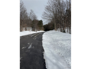 (private lake, pond, coastal) Acreage For Sale in Remsen New York