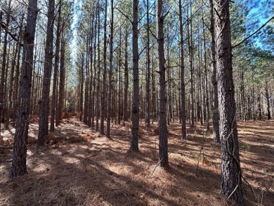 Lake Acreage For Sale in Keysville, Georgia