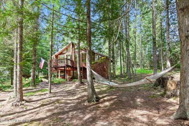 Just Bring Your Swimsuit! Priest Lake Forest Retreat with a - photo 2