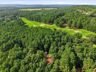 Nestled on three private lots overlooking Mountain Ranch Golf - photo 43