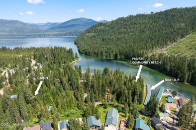 Just Bring Your Swimsuit! Priest Lake Forest Retreat with a - photo 3
