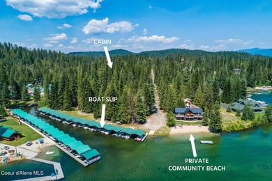 Just Bring Your Swimsuit! Priest Lake Forest Retreat with a - photo 4