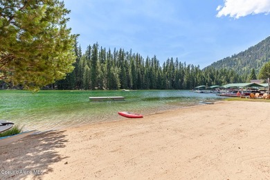 Just Bring Your Swimsuit! Priest Lake Forest Retreat with a - photo 6