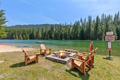 Just Bring Your Swimsuit! Priest Lake Forest Retreat with a - photo 7