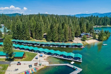 Just Bring Your Swimsuit! Priest Lake Forest Retreat with a - photo 9