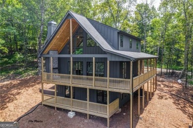 Lake Home For Sale in Ranger, Georgia