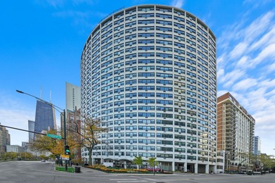 Lake Michigan - Cook County Condo Active Under Contract in Chicago Illinois