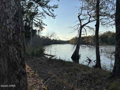 (private lake, pond, creek) Acreage For Sale in Ebro Florida