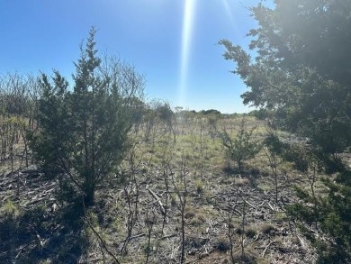 This five acre lot in The Hills Above Possum Kingdom is on level - photo 12