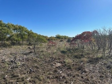 This five acre lot in The Hills Above Possum Kingdom is on level - photo 13