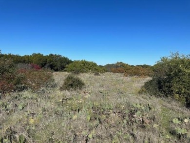 This five acre lot in The Hills Above Possum Kingdom is on level - photo 16