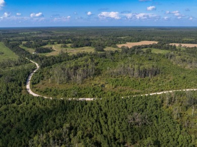 Lake Acreage For Sale in Greenville, Florida