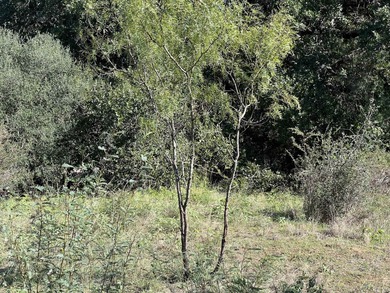 Not many golf course lots are left and this one has 108.53 feet - photo 3