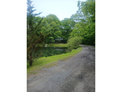 Lake Home For Sale in Bloomingburg, New York