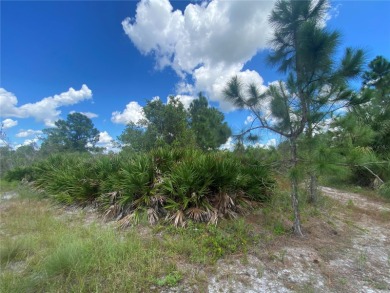 Lehigh Acres Area Lot For Sale in Lehigh Acres Florida